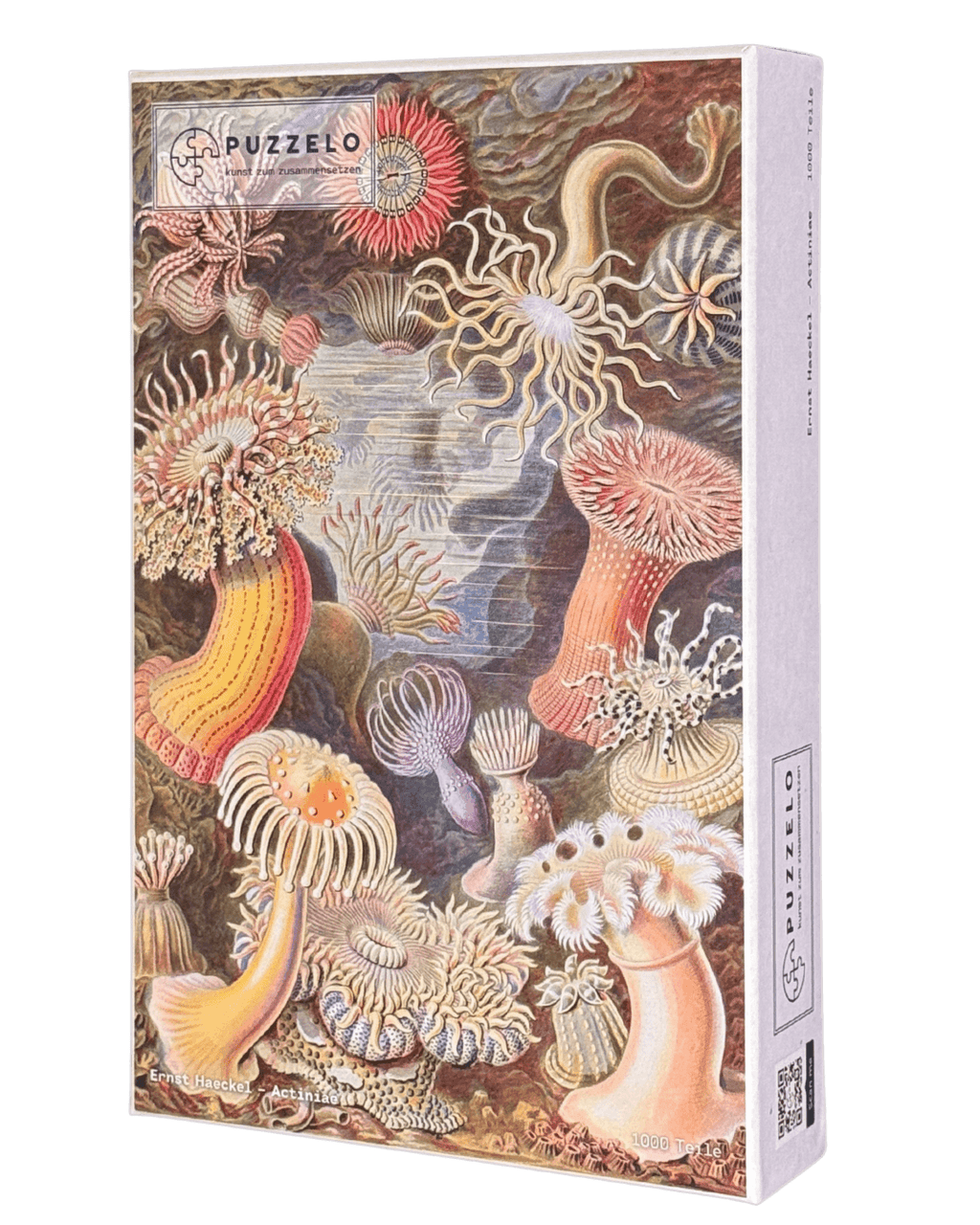 Actiniae – Ernst Haeckel Puzzle Kunstwerk, 1000 Teile, Verpackung Vorderseite