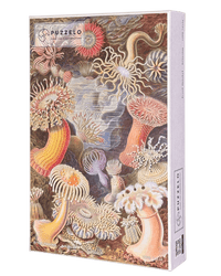 Actiniae – Ernst Haeckel Puzzle Kunstwerk, 1000 Teile, Verpackung Vorderseite