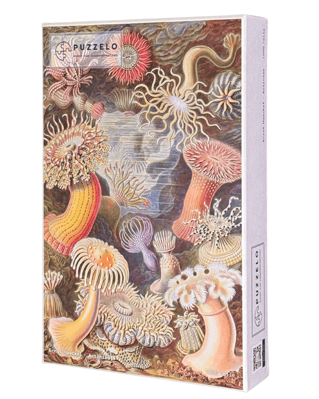 Actiniae – Ernst Haeckel Puzzle Kunstwerk, 1000 Teile, Verpackung Vorderseite